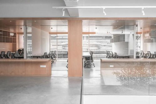 水泥森林里的溫柔煙火 澜创生活馆与啤酒厂的社交化蝶變